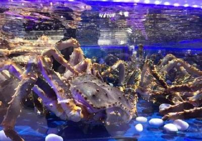 海鲜业闪崩！盒马只能勉强硬扛，其他人哭完还有救吗？