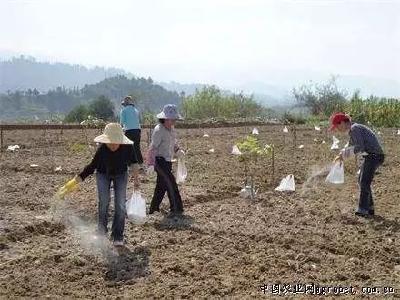 湖北一地宣布：实行疫情分区分级精准防控！