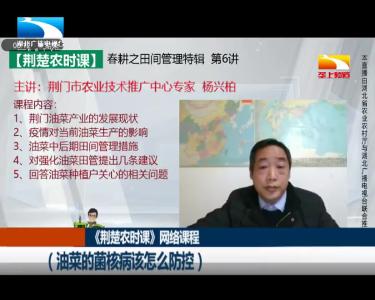 春耕抗疫两不误 网络技术助力今年春耕