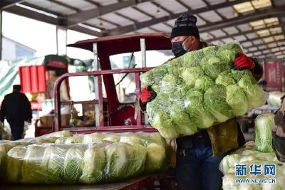 多地菜价 | 交易量继续放大，部分价格继续下降 ​