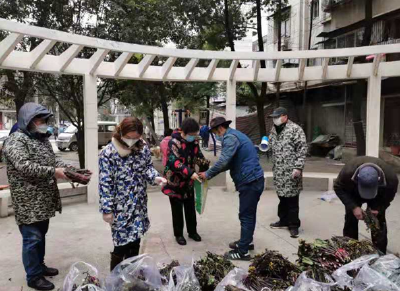 热心村民为武汉社区捐赠3000斤爱心红菜薹 | 众志成城抗疫情 湖北乡村在行动