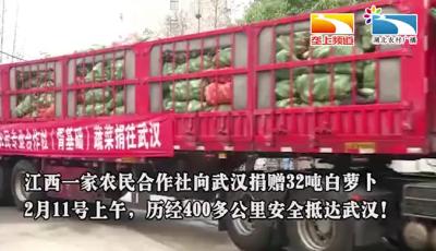 八方驰援 | 江西乡亲千里送萝卜 “甜”了武汉市民心