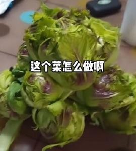 逆天了！这里聚齐了全国各地新奇特蔬菜，吃过三个以上算你牛！