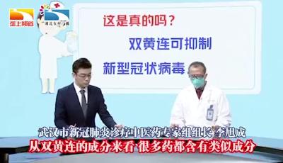 双黄连可能有伤阳气，没必要一定要服用！