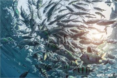 为什么人类重大疫病传染源来自陆生动物而非水产养殖动物？