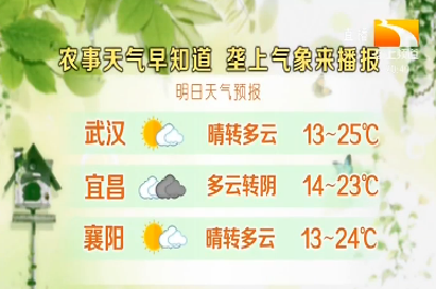 垄上气象站 2020-03-22