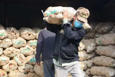 倾囊相助 宁夏老区给襄阳送来了300吨土豆