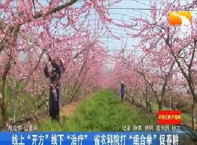 线上“开方”线下“治疗” 省农科院打“组合拳”促春耕