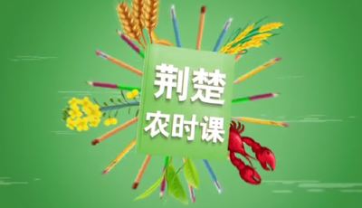 战疫情保春耕 | 荆楚农时课：春季蔬菜管理之抢播与育苗