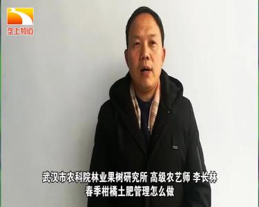 战疫情保春耕 | 荆楚农时课：春季柑橘土肥管理怎么做？