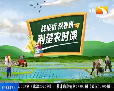荆楚农时课 2020-03-25