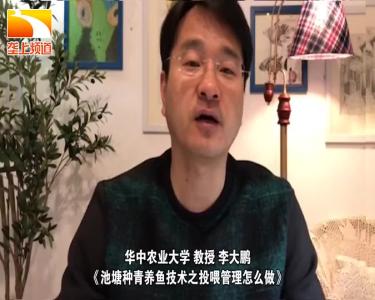 战疫情保春耕 | 荆楚农时课：池塘种青养鱼技术之投喂管理怎么做？