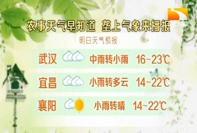垄上气象站