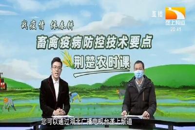 荆楚农时课：畜禽疫病防控技术要点
