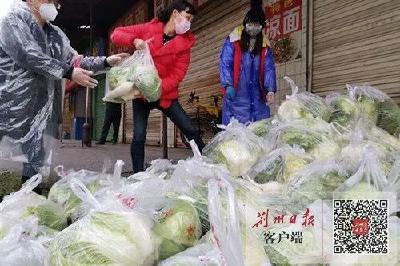 每户10斤！荆州免费“蔬菜包”今起开始发放