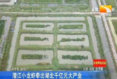 潜江小龙虾牵出湖北千亿元大产业