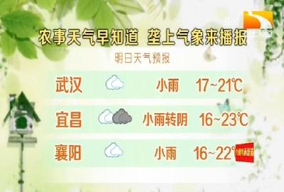 垄上气象站 2020-03-24
