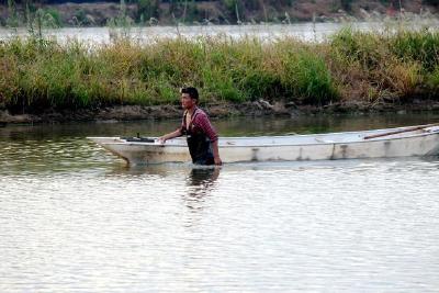 小龙虾五月瘟是各种因素导致的，解决办法也要采取综合手段