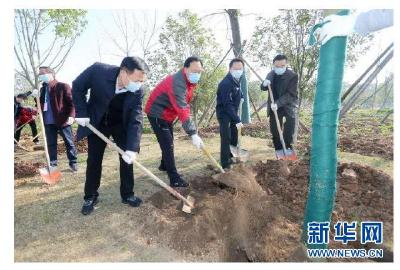 内蒙古和浙江医疗队与湖北荆门共植“友谊林”