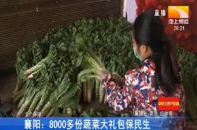 襄阳：8000多份蔬菜大礼包保民生