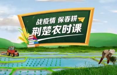 战疫情保春耕 | 荆楚农时课：油菜花期意蜂生产管理三要点