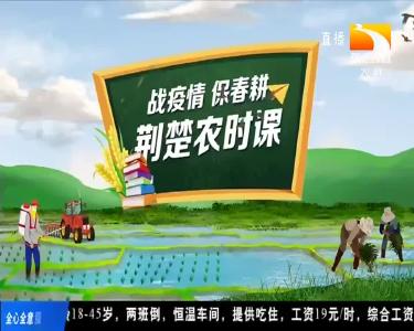 3月18日荆楚农时课