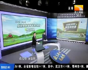 荆楚农时课：瓜豆类保温育苗技术看点