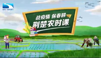 战疫情保春耕 | 荆楚农时课：预防非洲猪瘟，专家有哪些建议？