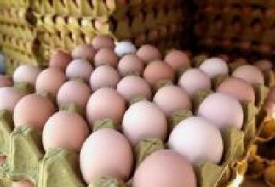 武汉市发布首批鸡蛋团购销售配送单位信息