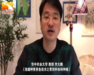 战疫情保春耕 | 荆楚农时课：池塘种青养鱼技术之青饲料如何种植？