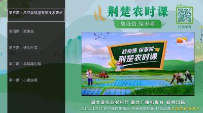 抗疫情 保春耕 | 长江云TV垄上专区助力复工复产