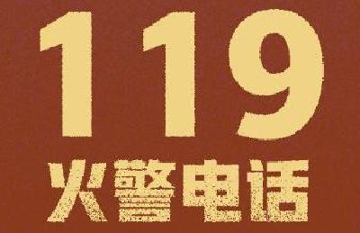 在湖北省境内，涉疫求助可拨打119