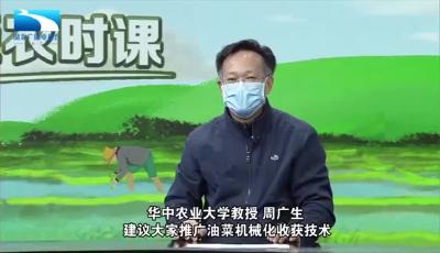 战疫情保春耕 | 荆楚农时课：建议大家推广油菜机械化收获技术