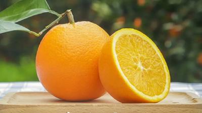 9张图带你认识大器“晚”橙的“橙中之皇”——秭归伦晚