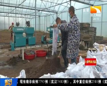 荆州石首：绿色通道助力春耕生产