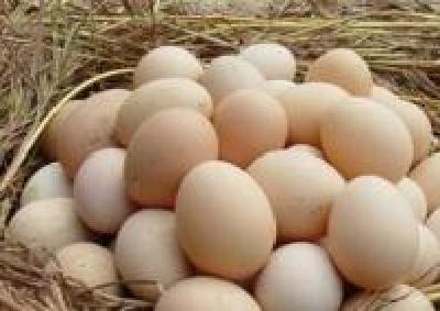 武汉发布第二批鸡蛋团购配送信息 新增9家企业参与配送