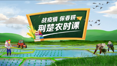 荆楚农时课第57讲：虾稻施肥与绿肥生产利用技术