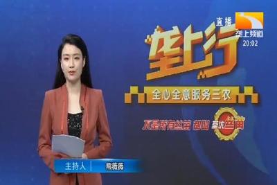 垄上行 2020-04-18