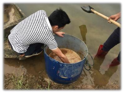 肠胃康发酵料分享