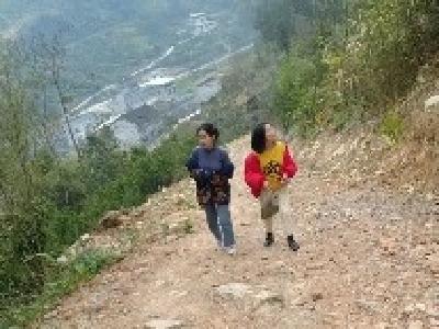 女大学生滞留老家变身药农，翻40余座山建起“百草园”