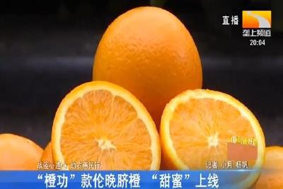 “橙功”款伦晚脐橙 “甜蜜”上线