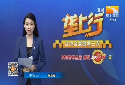 垄上行 2020-04-28