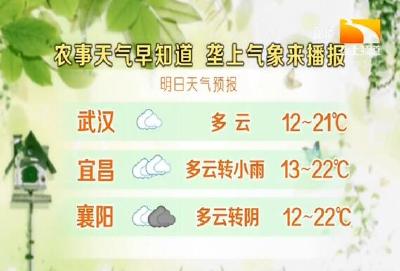 垄上气象站 2020-04-18