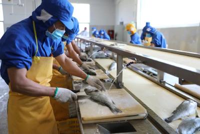 水产方便菜成新“网红”！一款黑鱼片日销3万袋！未来这些鱼的消费不可估量