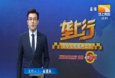 垄上行 2020-04-10