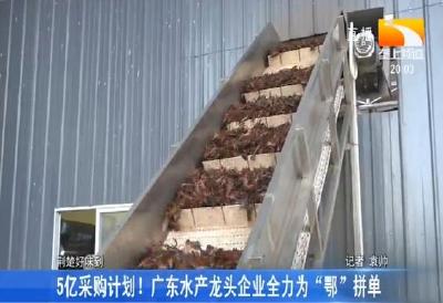 5亿采购计划！广东水产龙头企业全力为“鄂”拼单