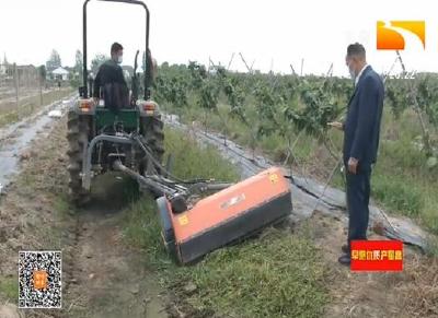 荆州：使用新型农机 提升果园生产效能