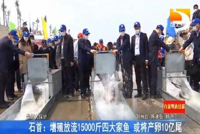 石首：增殖放流15000斤四大家鱼 或将产卵10亿尾