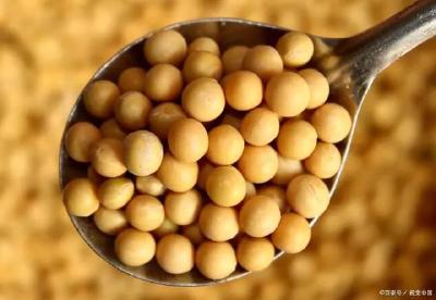 为豆粕减量替代开发提供产品支持 