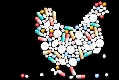 抗生素污染最新调查：长三角近80%儿童尿液中检出兽用抗生素 “无抗”迫在眉睫！